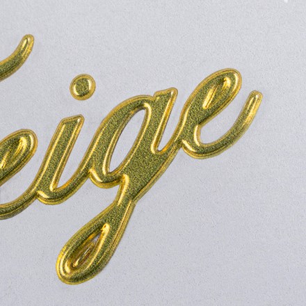 FlexStyle Metallic Feige signature close up