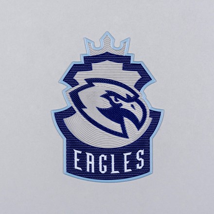 FlexStyle Textured Clear eagles emblem laid flat