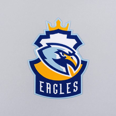 FlexStyle Textured Non-Metallic eagles emblem laid flat